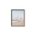 Picture of Beach Birds _GroupedProduct_Rectangle_Portrait_Photography _GroupedProduct_Rectangle_Portrait_Canvas_Framed_