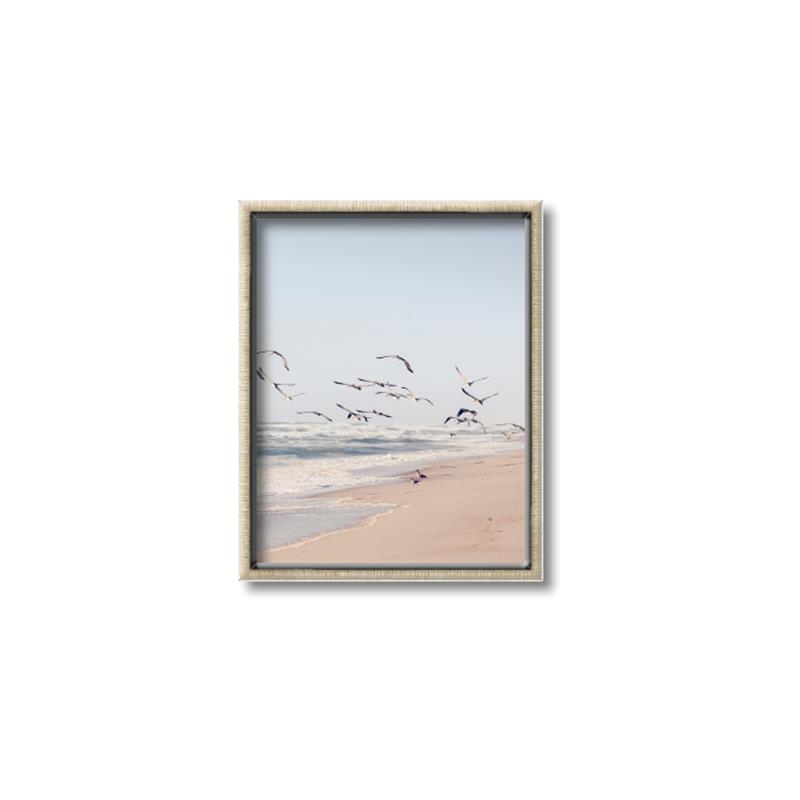 Picture of Beach Birds _GroupedProduct_Rectangle_Portrait_Photography _GroupedProduct_Rectangle_Portrait_Canvas_Framed_