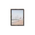 Picture of Beach Birds _GroupedProduct_Rectangle_Portrait_Photography _GroupedProduct_Rectangle_Portrait_Canvas_Framed_