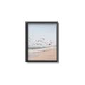 Picture of Beach Birds _GroupedProduct_Rectangle_Portrait_Photography _GroupedProduct_Rectangle_Portrait_Canvas_Framed_
