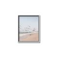 Picture of Beach Birds _GroupedProduct_Rectangle_Portrait_Photography _GroupedProduct_Rectangle_Portrait_Canvas_Framed_