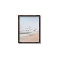 Picture of Beach Birds _GroupedProduct_Rectangle_Portrait_Photography _GroupedProduct_Rectangle_Portrait_Canvas_Framed_