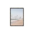 Picture of Beach Birds _GroupedProduct_Rectangle_Portrait_Photography _GroupedProduct_Rectangle_Portrait_Canvas_Framed_