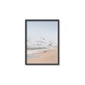 Picture of Beach Birds _GroupedProduct_Rectangle_Portrait_Photography _GroupedProduct_Rectangle_Portrait_Canvas_Framed_