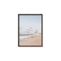 Picture of Beach Birds _GroupedProduct_Rectangle_Portrait_Photography _GroupedProduct_Rectangle_Portrait_Canvas_Framed_