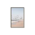 Picture of Beach Birds _GroupedProduct_Rectangle_Portrait_Photography _GroupedProduct_Rectangle_Portrait_Canvas_Framed_