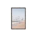 Picture of Beach Birds _GroupedProduct_Rectangle_Portrait_Photography _GroupedProduct_Rectangle_Portrait_Canvas_Framed_
