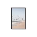 Picture of Beach Birds _GroupedProduct_Rectangle_Portrait_Photography _GroupedProduct_Rectangle_Portrait_Canvas_Framed_