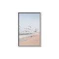Picture of Beach Birds _GroupedProduct_Rectangle_Portrait_Photography _GroupedProduct_Rectangle_Portrait_Canvas_Framed_