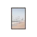 Picture of Beach Birds _GroupedProduct_Rectangle_Portrait_Photography _GroupedProduct_Rectangle_Portrait_Canvas_Framed_