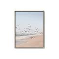 Picture of Beach Birds _GroupedProduct_Rectangle_Portrait_Photography _GroupedProduct_Rectangle_Portrait_Canvas_Framed_