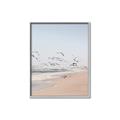 Picture of Beach Birds _GroupedProduct_Rectangle_Portrait_Photography _GroupedProduct_Rectangle_Portrait_Canvas_Framed_