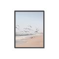 Picture of Beach Birds _GroupedProduct_Rectangle_Portrait_Photography _GroupedProduct_Rectangle_Portrait_Canvas_Framed_