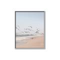 Picture of Beach Birds _GroupedProduct_Rectangle_Portrait_Photography _GroupedProduct_Rectangle_Portrait_Canvas_Framed_