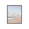 Picture of Beach Birds _GroupedProduct_Rectangle_Portrait_Photography _GroupedProduct_Rectangle_Portrait_Canvas_Framed_