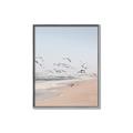 Picture of Beach Birds _GroupedProduct_Rectangle_Portrait_Photography _GroupedProduct_Rectangle_Portrait_Canvas_Framed_