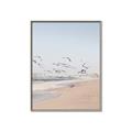 Picture of Beach Birds _GroupedProduct_Rectangle_Portrait_Photography _GroupedProduct_Rectangle_Portrait_Canvas_Framed_