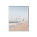Picture of Beach Birds _GroupedProduct_Rectangle_Portrait_Photography _GroupedProduct_Rectangle_Portrait_Canvas_Framed_