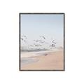 Picture of Beach Birds _GroupedProduct_Rectangle_Portrait_Photography _GroupedProduct_Rectangle_Portrait_Canvas_Framed_