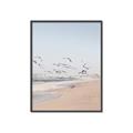 Picture of Beach Birds _GroupedProduct_Rectangle_Portrait_Photography _GroupedProduct_Rectangle_Portrait_Canvas_Framed_