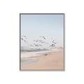 Picture of Beach Birds _GroupedProduct_Rectangle_Portrait_Photography _GroupedProduct_Rectangle_Portrait_Canvas_Framed_