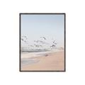 Picture of Beach Birds _GroupedProduct_Rectangle_Portrait_Photography _GroupedProduct_Rectangle_Portrait_Canvas_Framed_