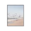 Picture of Beach Birds _GroupedProduct_Rectangle_Portrait_Photography _GroupedProduct_Rectangle_Portrait_Canvas_Framed_