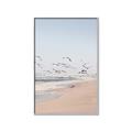 Picture of Beach Birds _GroupedProduct_Rectangle_Portrait_Photography _GroupedProduct_Rectangle_Portrait_Canvas_Framed_