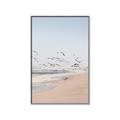Picture of Beach Birds _GroupedProduct_Rectangle_Portrait_Photography _GroupedProduct_Rectangle_Portrait_Canvas_Framed_