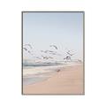 Picture of Beach Birds _GroupedProduct_Rectangle_Portrait_Photography _GroupedProduct_Rectangle_Portrait_Canvas_Framed_