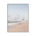 Picture of Beach Birds _GroupedProduct_Rectangle_Portrait_Photography _GroupedProduct_Rectangle_Portrait_Canvas_Framed_