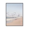 Picture of Beach Birds _GroupedProduct_Rectangle_Portrait_Photography _GroupedProduct_Rectangle_Portrait_Canvas_Framed_