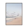 Picture of Beach Birds _GroupedProduct_Rectangle_Portrait_Photography _GroupedProduct_Rectangle_Portrait_Canvas_Framed_