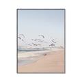 Picture of Beach Birds _GroupedProduct_Rectangle_Portrait_Photography _GroupedProduct_Rectangle_Portrait_Canvas_Framed_