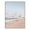 Picture of Beach Birds _GroupedProduct_Rectangle_Portrait_Photography _GroupedProduct_Rectangle_Portrait_Canvas_Framed_
