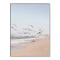 Picture of Beach Birds _GroupedProduct_Rectangle_Portrait_Photography _GroupedProduct_Rectangle_Portrait_Canvas_Framed_