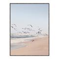 Picture of Beach Birds _GroupedProduct_Rectangle_Portrait_Photography _GroupedProduct_Rectangle_Portrait_Canvas_Framed_