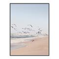 Picture of Beach Birds _GroupedProduct_Rectangle_Portrait_Photography _GroupedProduct_Rectangle_Portrait_Canvas_Framed_