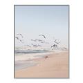 Picture of Beach Birds _GroupedProduct_Rectangle_Portrait_Photography _GroupedProduct_Rectangle_Portrait_Canvas_Framed_