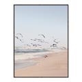 Picture of Beach Birds _GroupedProduct_Rectangle_Portrait_Photography _GroupedProduct_Rectangle_Portrait_Canvas_Framed_