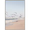 Picture of Beach Birds _GroupedProduct_Rectangle_Portrait_Photography _GroupedProduct_Rectangle_Portrait_Canvas_Framed_