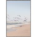 Picture of Beach Birds _GroupedProduct_Rectangle_Portrait_Photography _GroupedProduct_Rectangle_Portrait_Canvas_Framed_