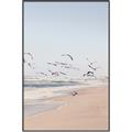 Picture of Beach Birds _GroupedProduct_Rectangle_Portrait_Photography _GroupedProduct_Rectangle_Portrait_Canvas_Framed_
