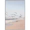 Picture of Beach Birds _GroupedProduct_Rectangle_Portrait_Photography _GroupedProduct_Rectangle_Portrait_Canvas_Framed_