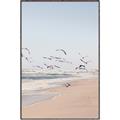 Picture of Beach Birds _GroupedProduct_Rectangle_Portrait_Photography _GroupedProduct_Rectangle_Portrait_Canvas_Framed_