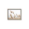 Picture of Beach Pampas _GroupedProduct_Rectangle_Landscape_Photography _GroupedProduct_Rectangle_Landscape_Canvas_Framed_