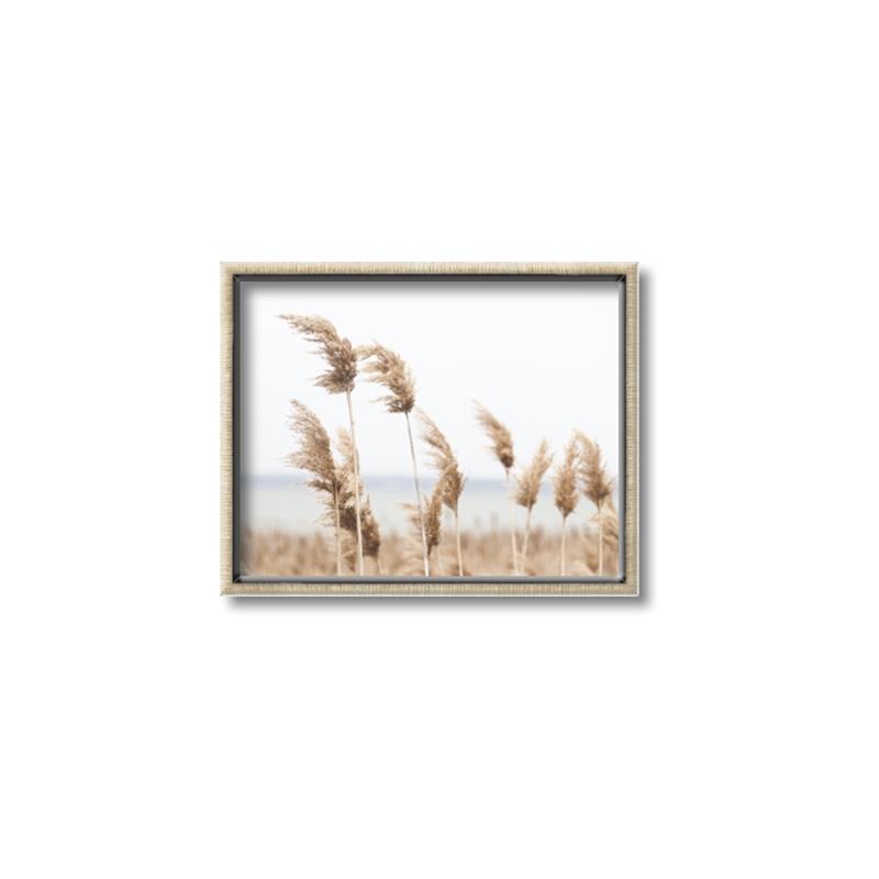 Picture of Beach Pampas _GroupedProduct_Rectangle_Landscape_Photography _GroupedProduct_Rectangle_Landscape_Canvas_Framed_