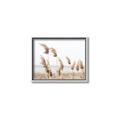 Picture of Beach Pampas _GroupedProduct_Rectangle_Landscape_Photography _GroupedProduct_Rectangle_Landscape_Canvas_Framed_