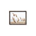 Picture of Beach Pampas _GroupedProduct_Rectangle_Landscape_Photography _GroupedProduct_Rectangle_Landscape_Canvas_Framed_
