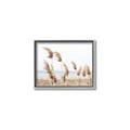 Picture of Beach Pampas _GroupedProduct_Rectangle_Landscape_Photography _GroupedProduct_Rectangle_Landscape_Canvas_Framed_